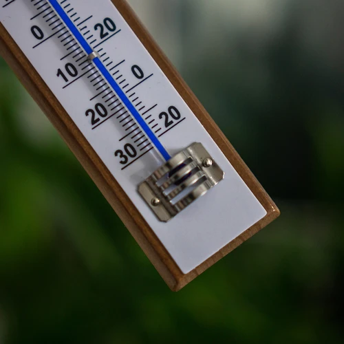 Kamertemperatuurmeter met witte schaal (-30°C tot +50°C) 20cm - 4