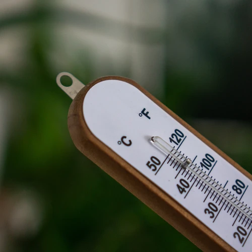 Kamertemperatuurmeter met witte schaal (-30°C tot +50°C) 20cm - 5
