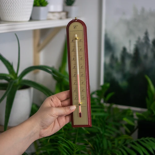 Kamerthermometer met gouden schaal (-10°C tot +60°C) 28cm mix - 6