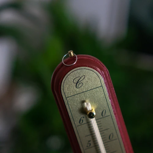 Kamerthermometer met gouden schaal (-10°C tot +60°C) 28cm mix - 7