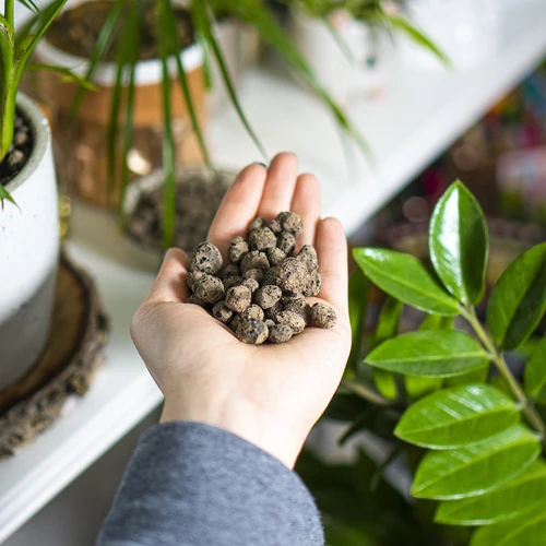 Keramiek voor potplanten, tuinbouw en bossen in glas 10–20 mm, 4L - 13