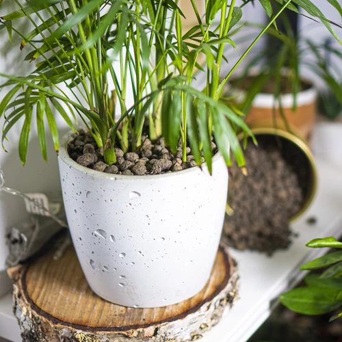 Keramiek voor potplanten, tuinieren en bossen in glas, 4-10 mm, 2L - 9