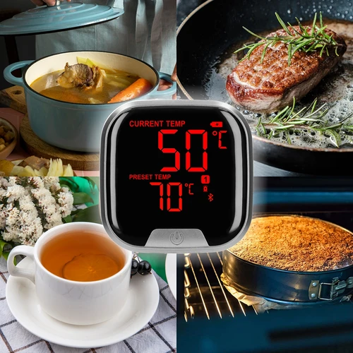 Keukenthermometer met Bluetooth, 2 sondes - 15