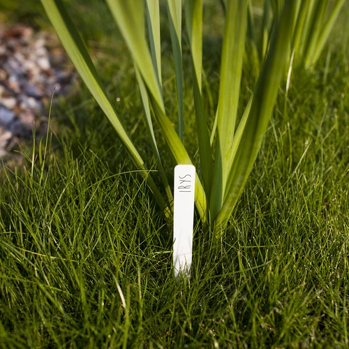 Labels voor plantenbeschrijving + potlood mix 10+20 stuks - 7