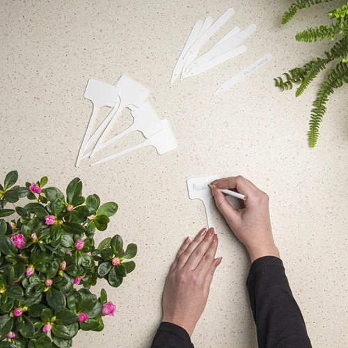 Labels voor plantenbeschrijving + potlood mix 10+20 stuks - 5