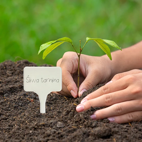 Labels voor plantenbeschrijving + potlood mix 10+20 stuks - 10