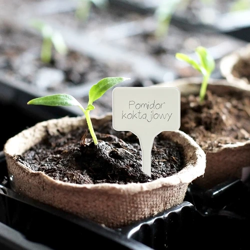 Labels voor plantenbeschrijving + potlood mix 10+20 stuks - 11