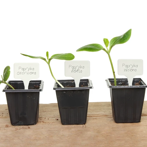 Labels voor plantenbeschrijving + potlood mix 10+20 stuks - 12