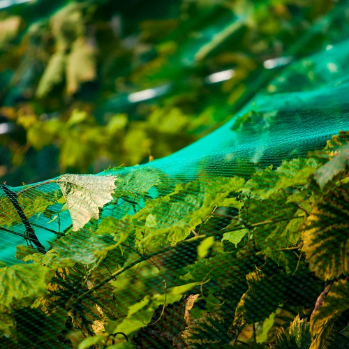 Net voor vogelbescherming, groen, 6 m x 6 m - 5