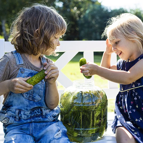 Onbreekbare pot voor inmaken, 3 L - 7