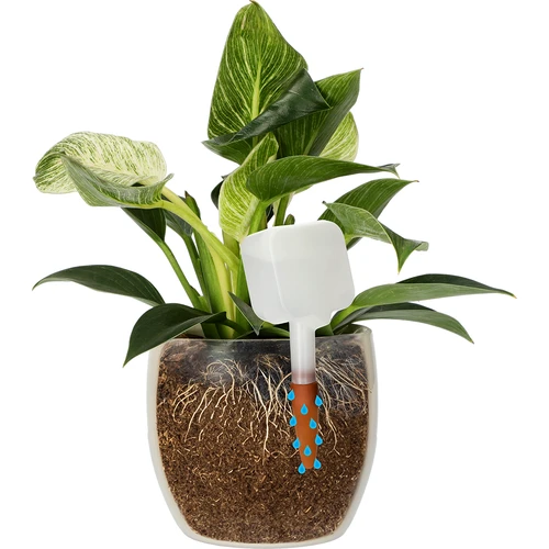 Plantengieter - wit bord met keramische voet, 200 ml - 6