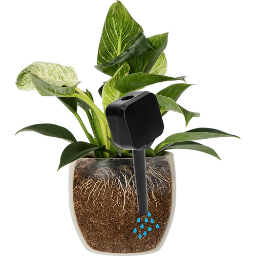 Plantengieter – zwart bord, 200 ml - 6