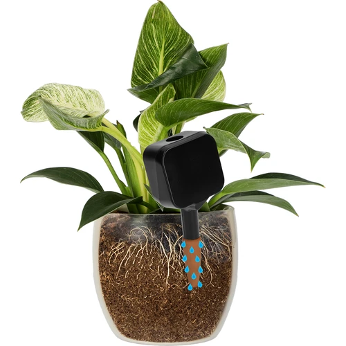 Plantengieter – zwart bordje met keramische voet, 200 ml - 6