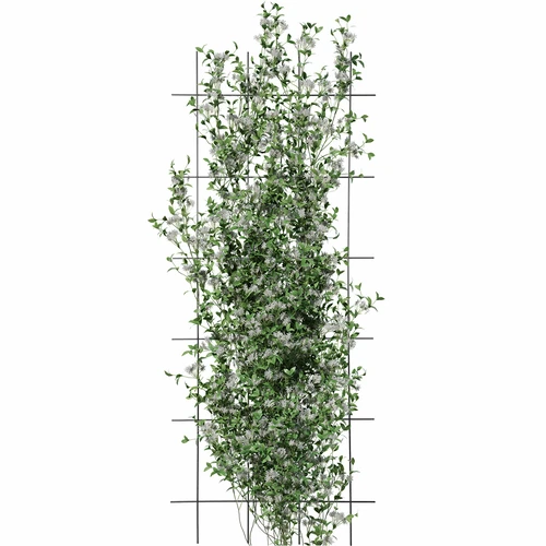 Plantensteun - rooster (150cm x 60cm) 3 stuks - 3