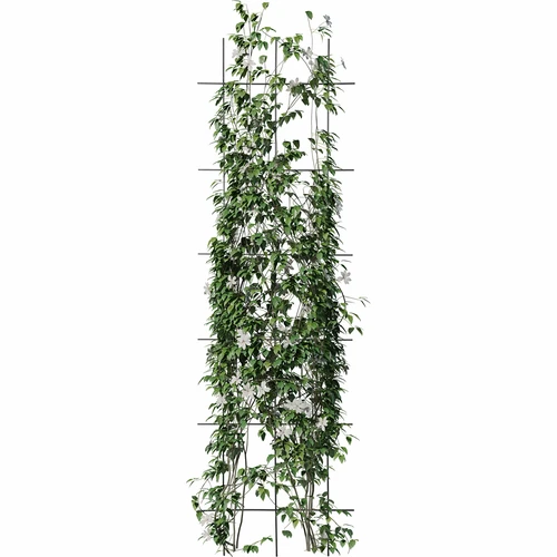 Plantensteun - tuinscherm 150 x 45cm - 3