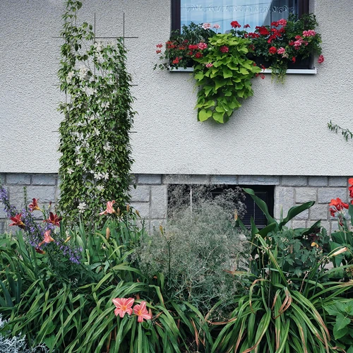 Plantensteun - tuinscherm 150 x 45cm - 4