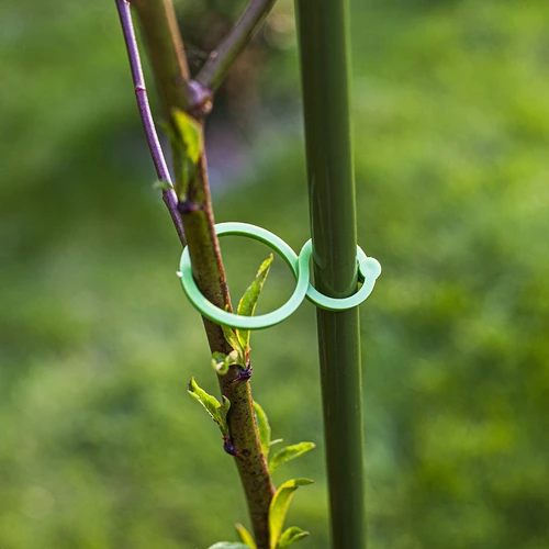 Plastic clips voor het vastmaken van planten, mix 50 stuks. - 7