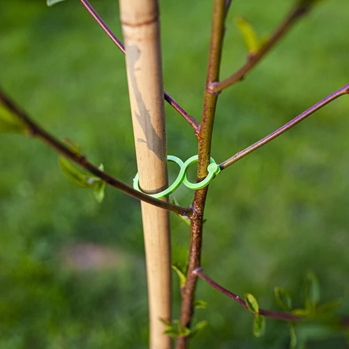 Plastic clips voor het vastmaken van planten, mix 50 stuks. - 6