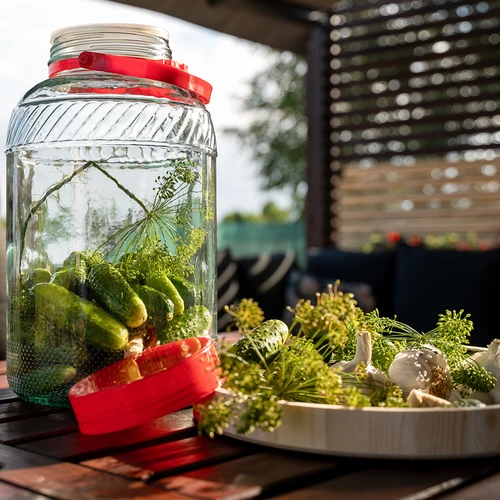 Pot 8 L met plastic deksel - 8