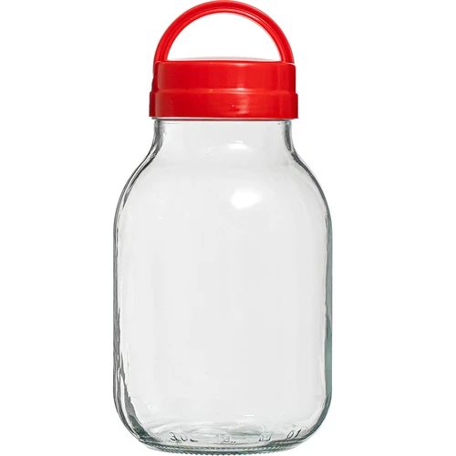 Pot TO 3 L en deksel fi 100 met handvat