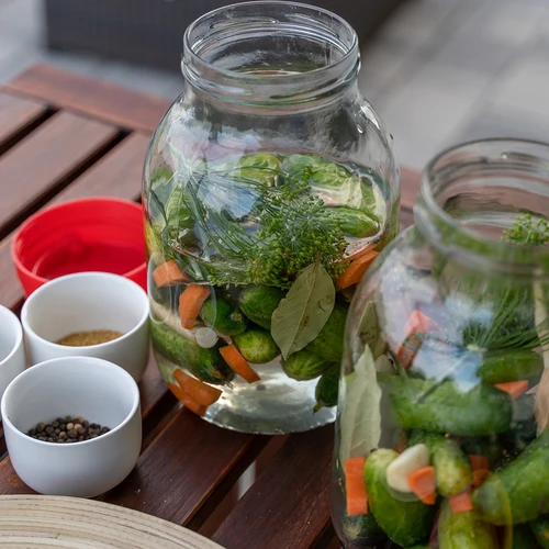 Pot TO 3 L en deksel fi 100 met handvat - 9
