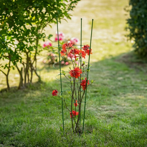 Ringsteun voor planten 3 ringen 0,5m - 4