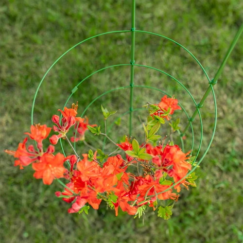Ringsteun voor planten 3 ringen 0,7m - 4