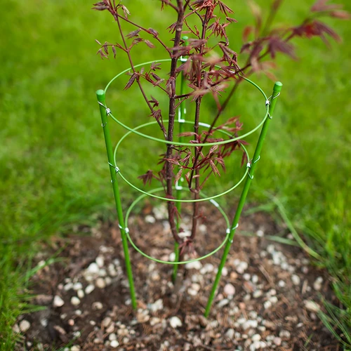 Ringsteun voor planten 3 ringen 1,2m - 3