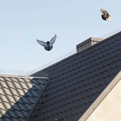 Spikes voor vogels, op metalen strip, 10 stuks - 11