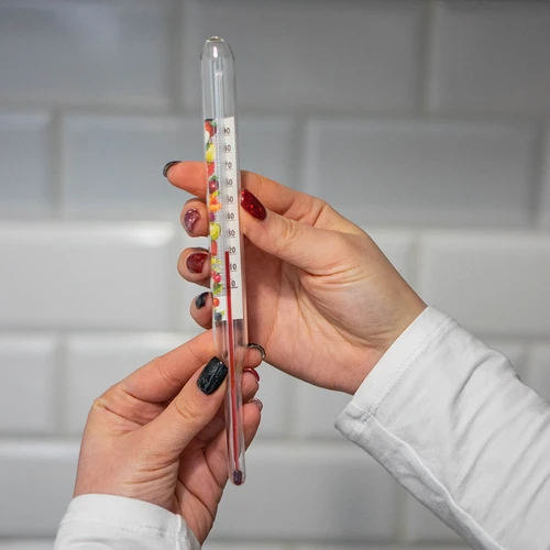 Thermometer voor conserven (0°C tot +100°C) 22cm - 5