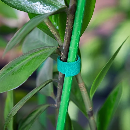 Tuinband met klittenband, groen, 15 mm x 5 m - 4