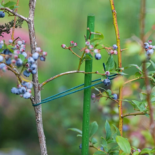 Tuinstokken Bioogród – gecoate stalen, 1,8 m, fi 11 mm, 10 stuks - 4