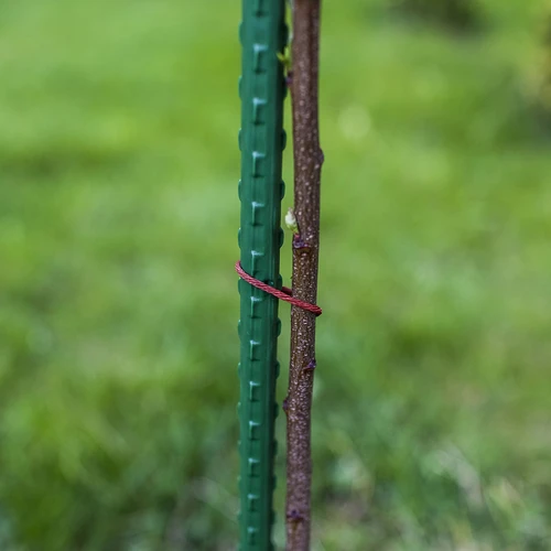 Tuinstokken Bioogród – gecoate stalen, 1,8 m, fi 11 mm, 10 stuks - 5