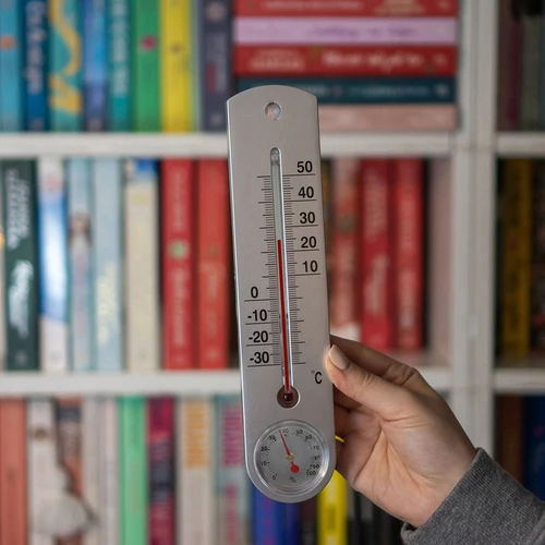 Universele zilveren thermometer met hygrometer (-30°C tot +50°C) 25cm - 3