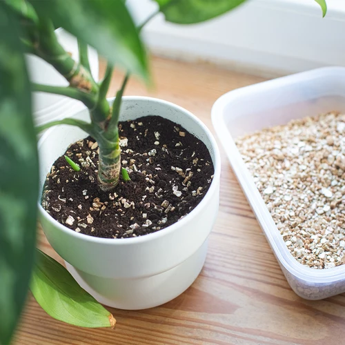 Vermiculiet voor kamerplanten en tuinieren, 2 L - 8