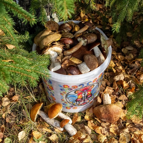 Voedselemmer GWIOZDA - met deksel, 10 L - 10