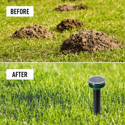 Solar mollenverjager – effectieve, veilige en diervriendelijke bescherming voor je tuin, set van 4 stuks - 13