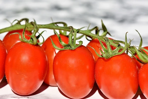 Tomatenpassata