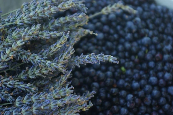 Zelfgemaakte lavendel-bosbessenwijn