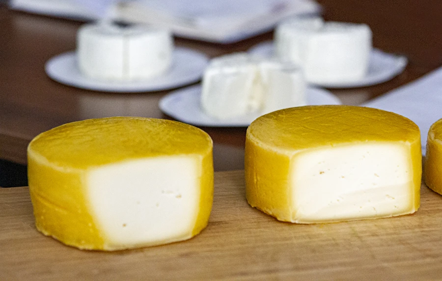 Huisgemaakte gele kaas van het type Gouda