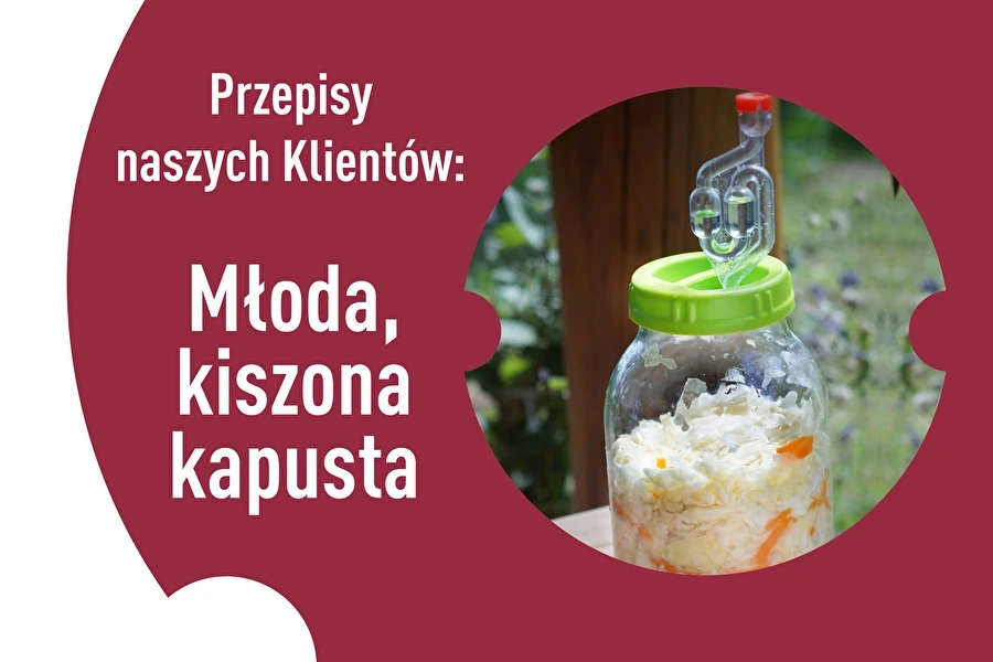 Browin Przepiśnik - Recepten van onze klanten: Jonge gefermenteerde kool