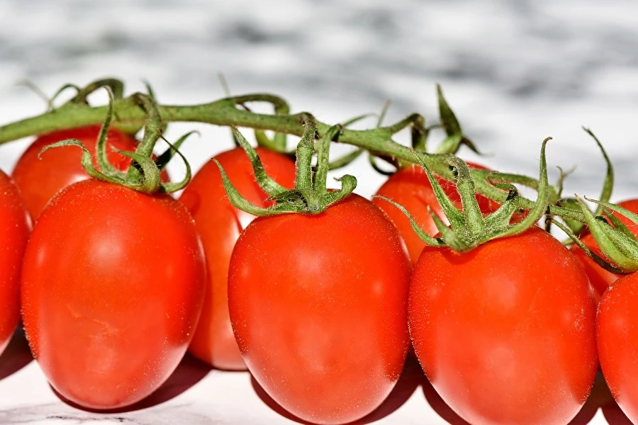 Browin Przepiśnik - Tomatenpassata